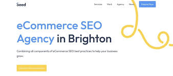 Boost Your Ecommerce Success with a Leading SEO Agency