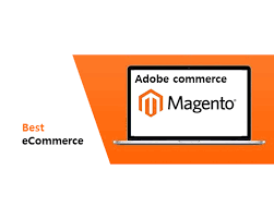 Unlocking Success: The Power of a Magento Ecommerce Agency for Your Online Business