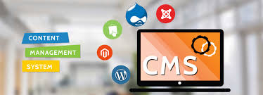 cms website development