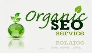 Unlocking Success: The Power of an Organic SEO Agency