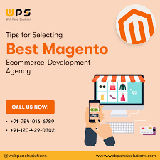 Transform Your Online Store with a Leading Magento Ecommerce Development Agency