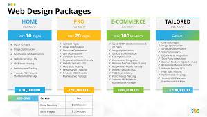 Unlocking Online Potential: Elevate Your Business with Custom Web Development Packages