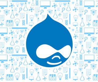 Elevate Your Online Presence with a Leading Drupal Web Design Agency
