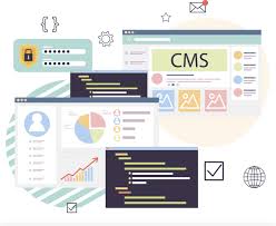 CMS Website Development Services: Build a Website That’s Easy to Manage